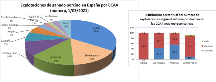 Ganadería intensiva: el reto ambiental del sector porcino en España