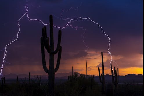 Monsoons make deserts bloom in the US Southwest, but climate change is making these summer rainfalls more extreme and erratic