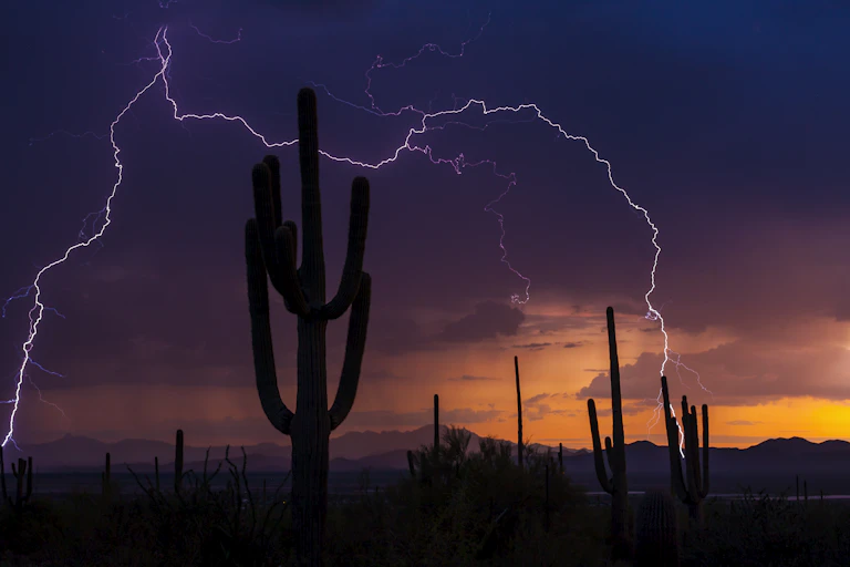 Purple sky with forked lightning bolt behind tall cactus.