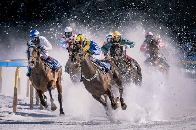 Horses races on a snowy track.