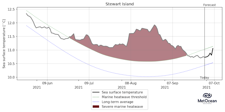 This graph depicts ocean temperature anomalies around Stewart Island.