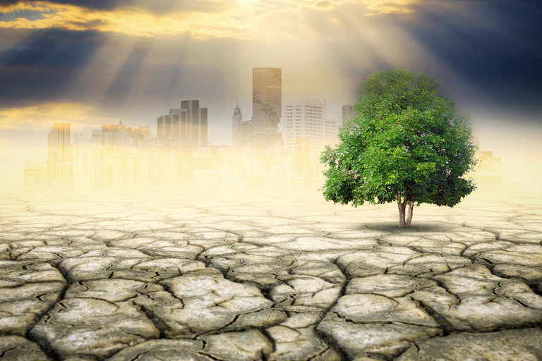 Healthy tree growing in dry ground with cityscape background.
