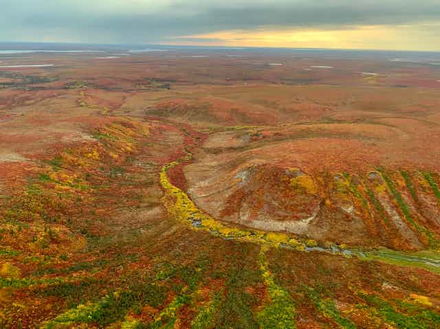aerial view of tundra peatland