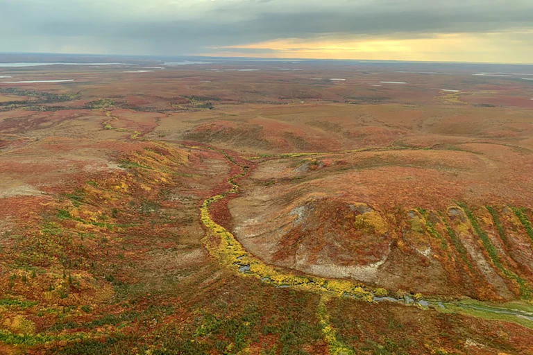 aerial view of tundra peatland