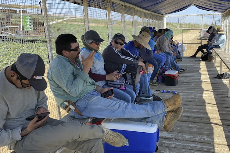 About a dozen farmworkers in long sleeves, jeans, hats and boots sit in the shade of a covered, open-air truck bed.