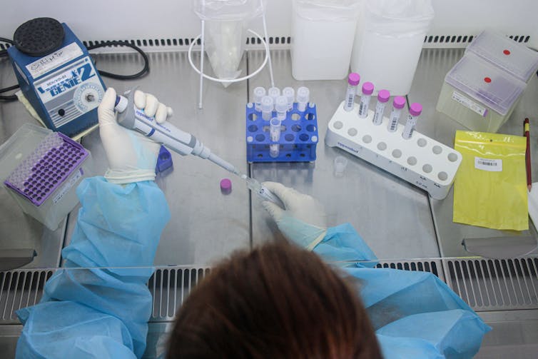 Une scientifique fait un prélèvement dans un échantillon pour lancer la PCR