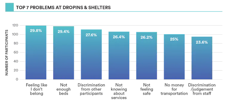 a graph shows the top problems at drop-ins and shelters