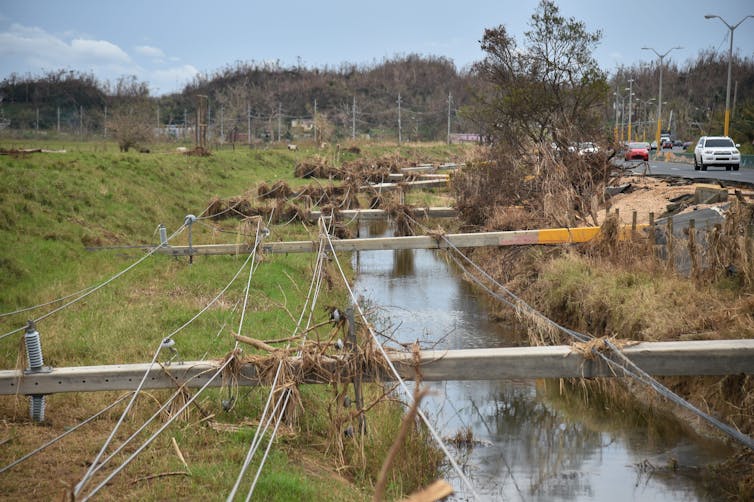 Power poles lying across a flooded ditch.