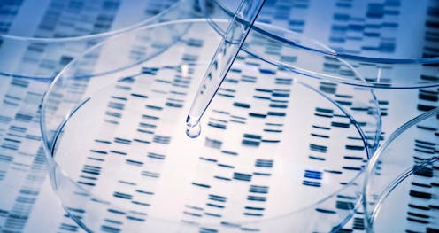 Australians need more protection against genetic discrimination: health experts