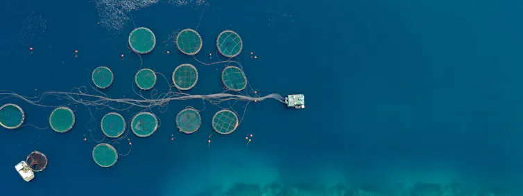 Aerial drone photo of large fish farms