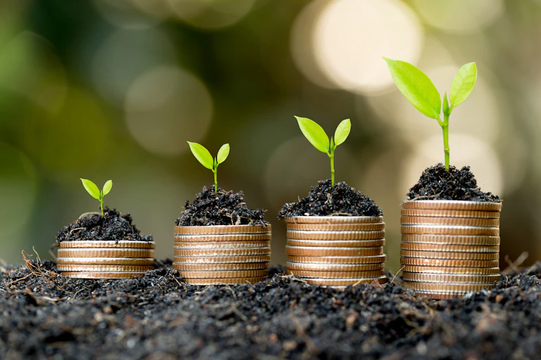 Seedlings on steadily growing piles of coins