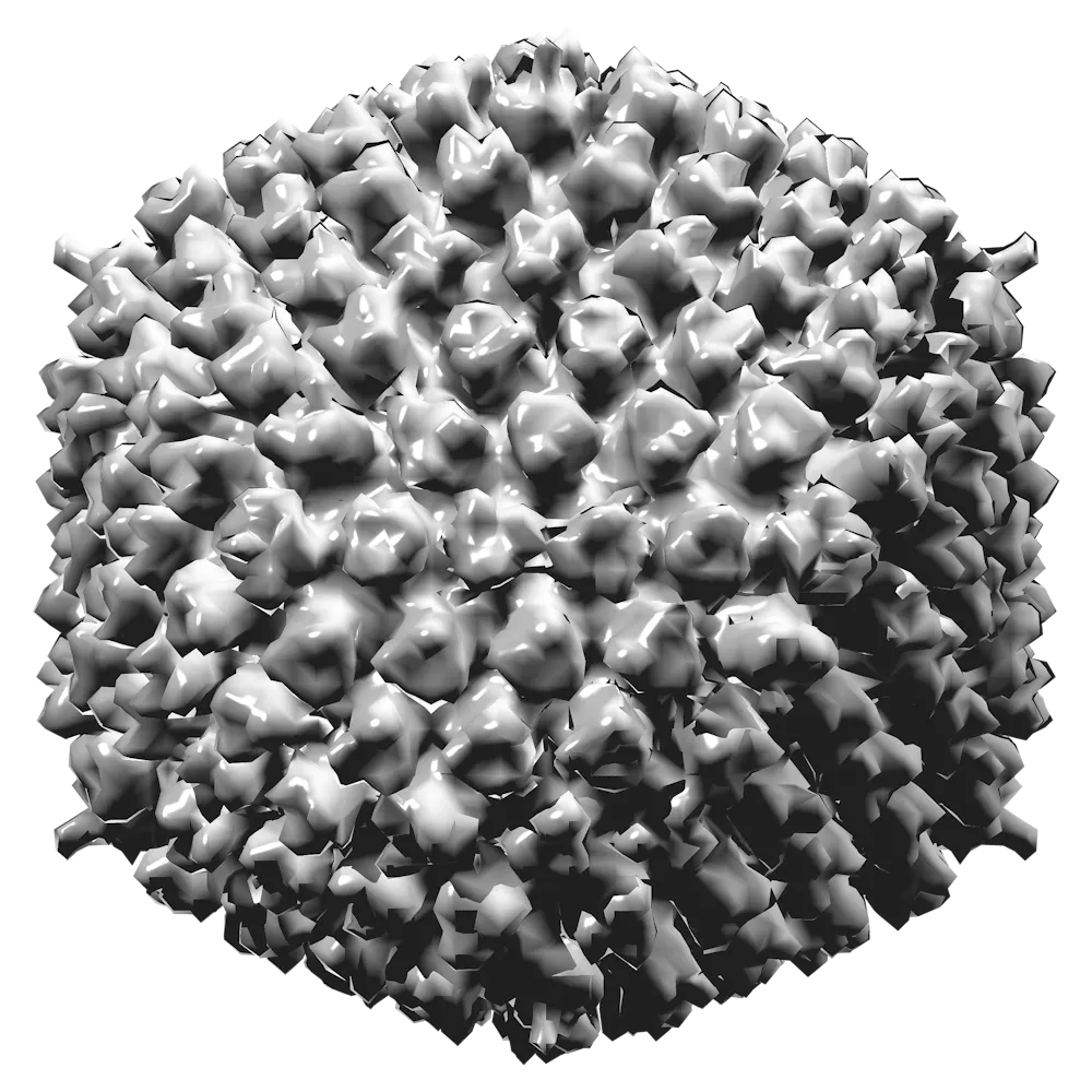 How the puzzle of viral vector vaccines was solved, leading to today’s ...