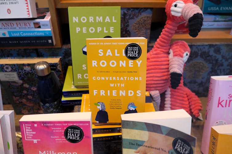 Book covers in shop window