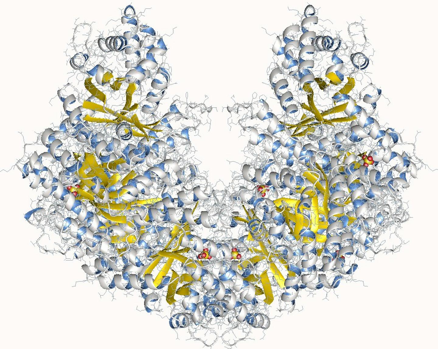 A tangled web of spirals and shapes representing and aldolase enzyme.