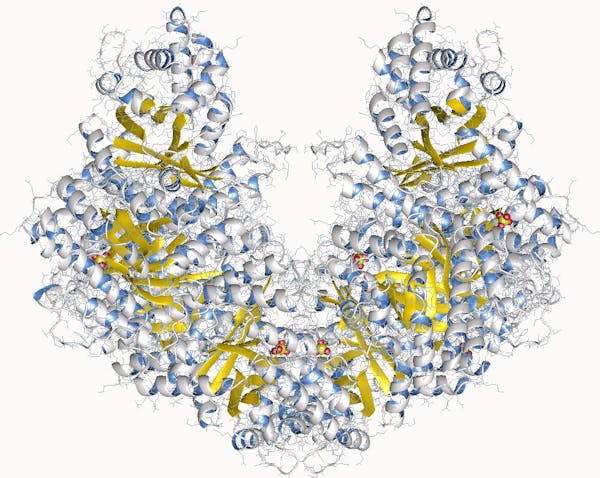 A tangled web of spirals and shapes representing and aldolase enzyme.