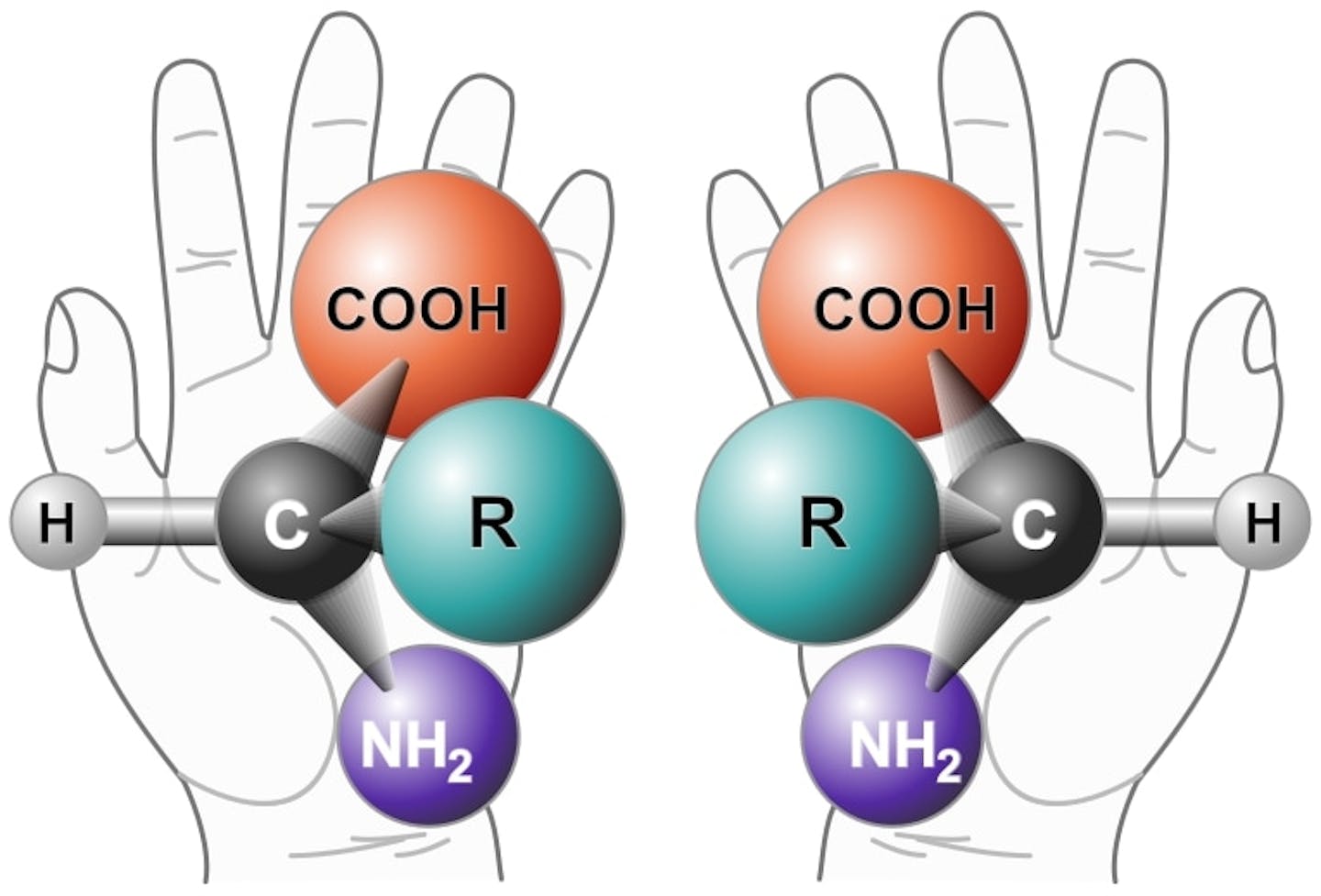 Two molecules overlaid onto a right and left hand.