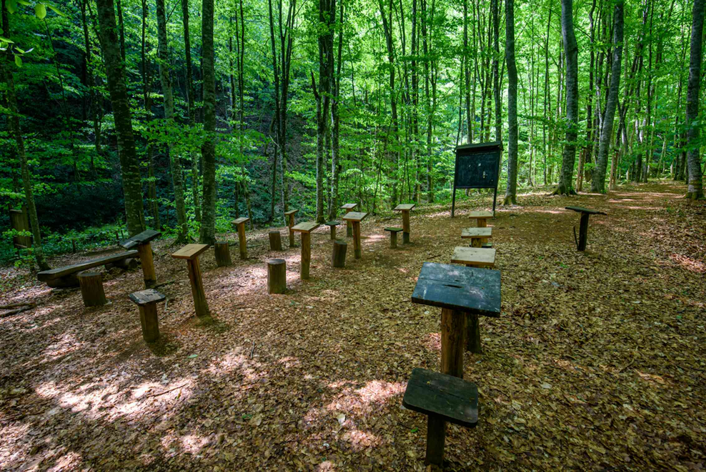Empty wooden chairs and tables in forest cleaing with blackboard at the front.
