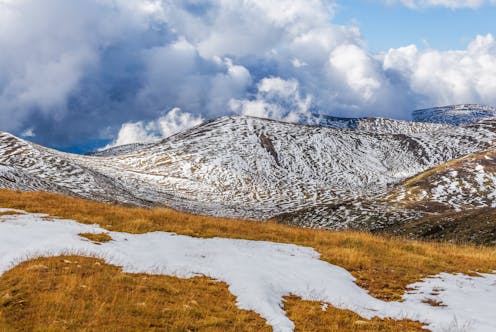 Feral horses will rule one third of the fragile Kosciuszko National Park under a proposed NSW government plan