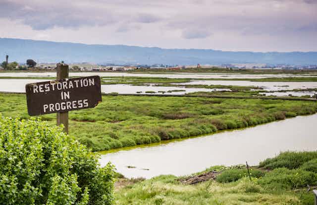 a sign marked 'restoration in progress' on a wetland