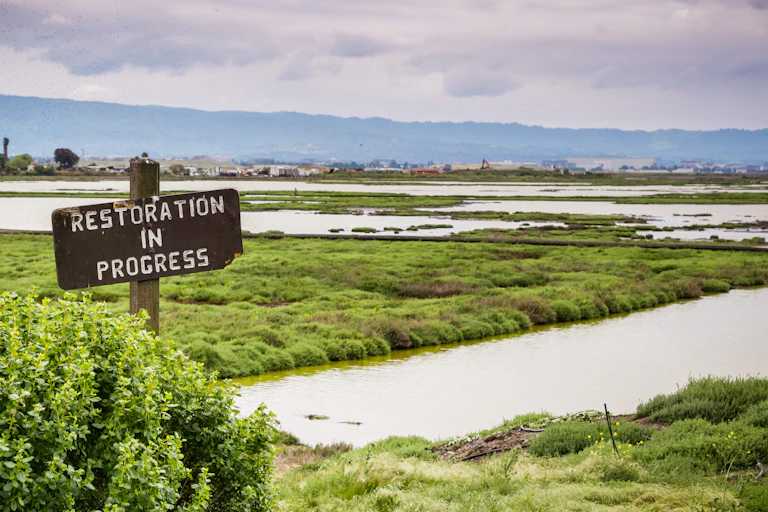 a sign marked 'restoration in progress' on a wetland