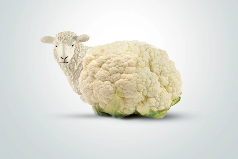 An image of a cauliflower edited to resemble a sheep.