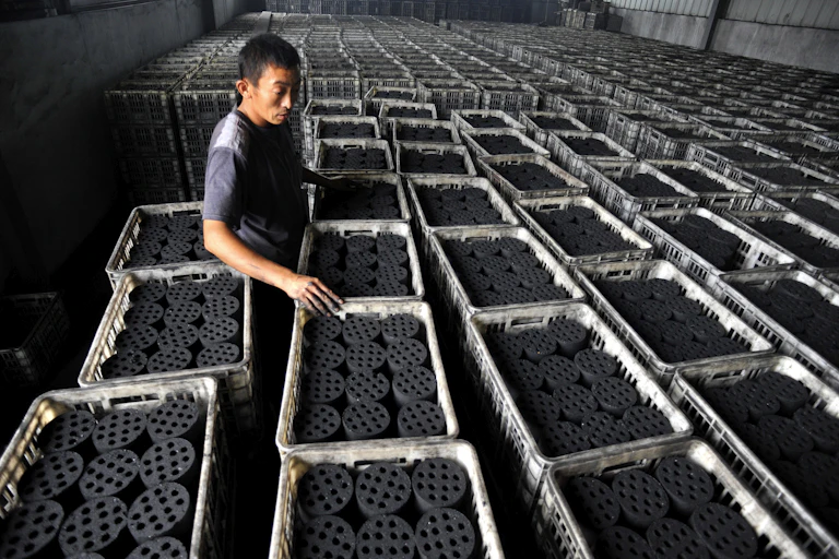 Worker overseeing checking bags of coal briquettes.