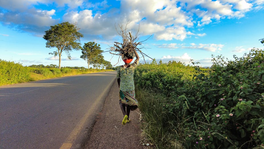 Rear view of a young African woman carrying a bundle of firewood on her head.