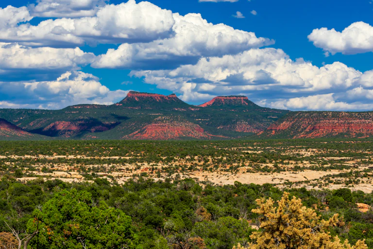 Two red sandstone buttes with desert chaparral in foreground