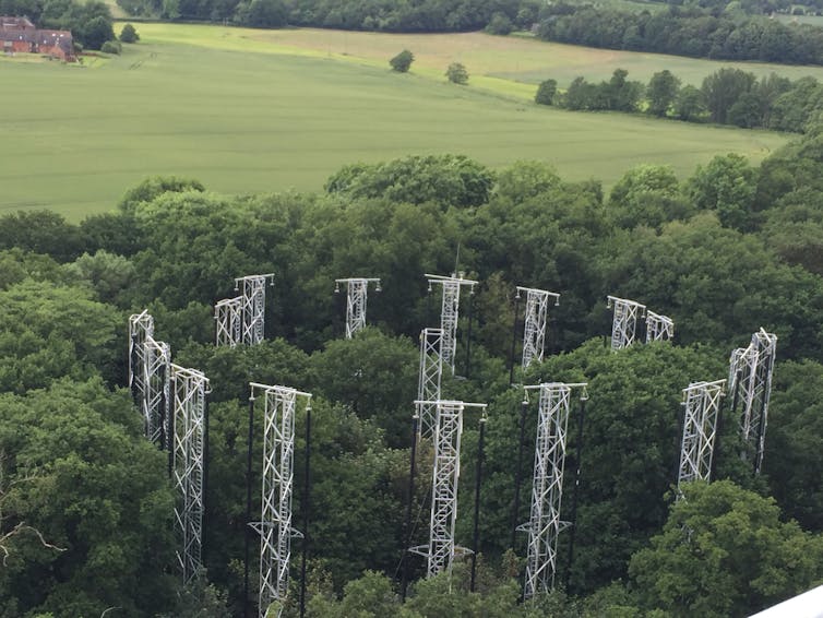 An aerial view of a patch of forest encircled by metal towers.