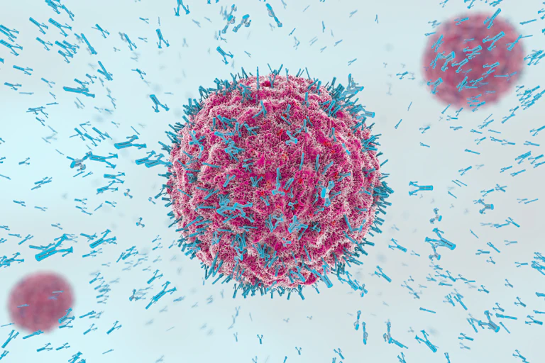 Illustration d’anticorps s’attaquant à un virus