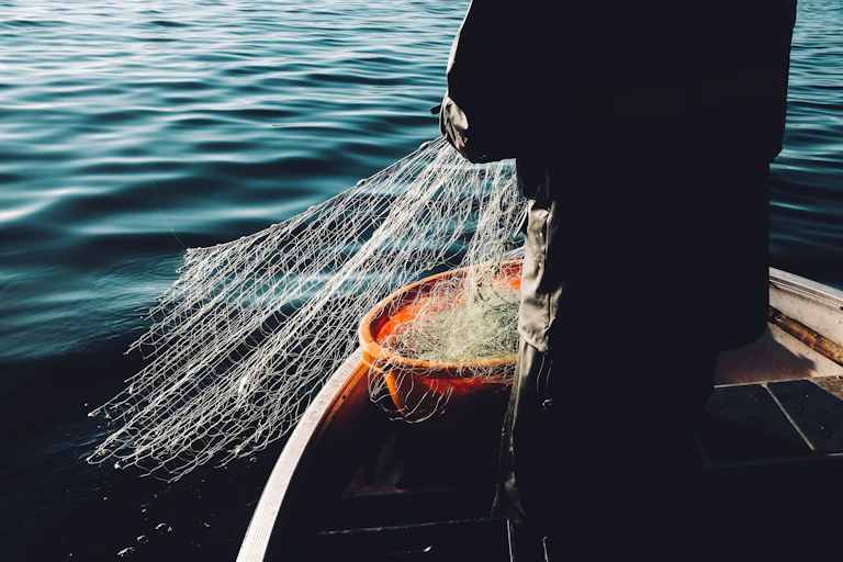 A person holds a net in the water while standing on a boat.