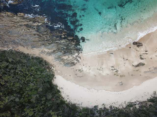 Aerial photo of beach with sand, rock, and trees.