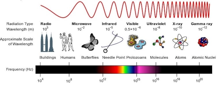 A diagram showing different wavelengths of light compared to size of normal objects.