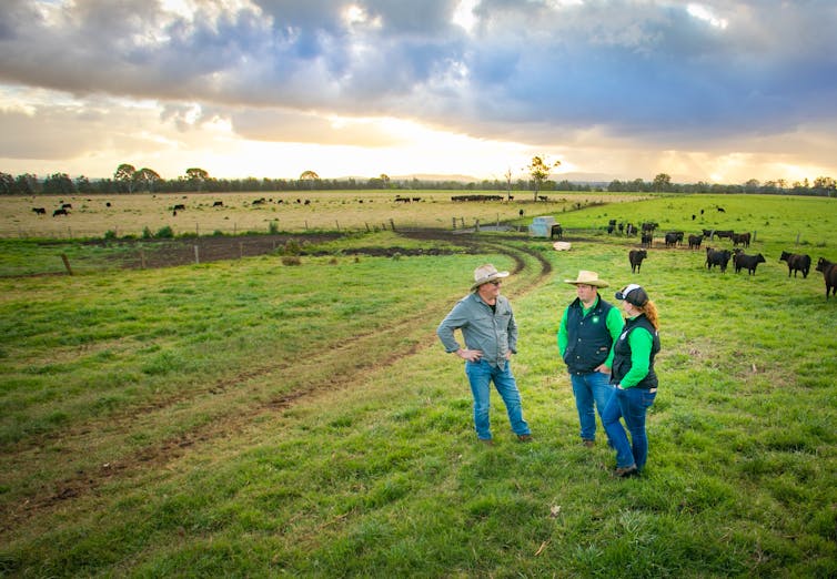 three people stand in field