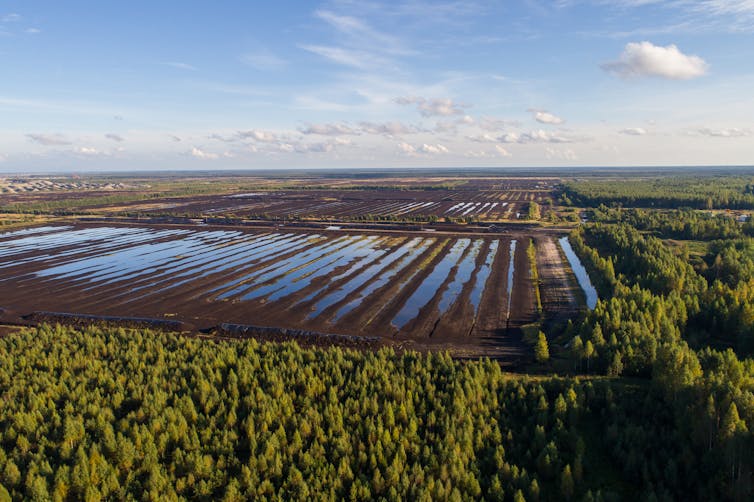 aerial view of a peatland field that has been trenched and excavated