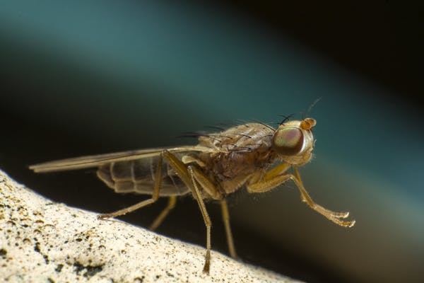 Cette image a été supprimée. Pour des raisons de sécurité, seules les images du domaine local sont autorisées. Image retirée.