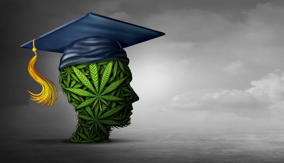 The figure of a head made of marijuana leaves is weaering a blue graduation cap with a gold tassle. 