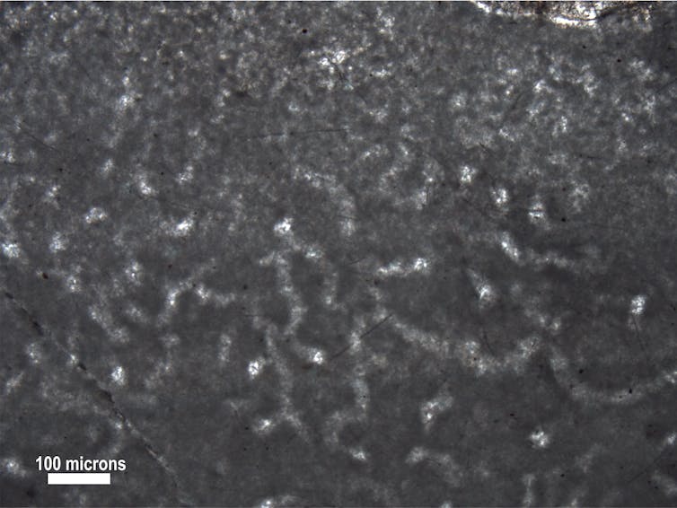 Microscopic view of thin, light gray strands in dark gray rock.