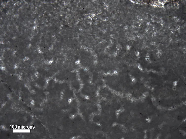 Une image d’un possible fossile d’éponge