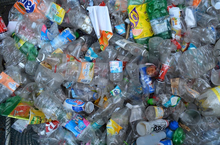 Plastic bottles gathered for recycling