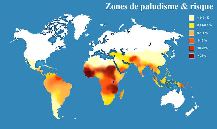 C’est en Afrique qu’il y a les plus gros risques liés au paludisme