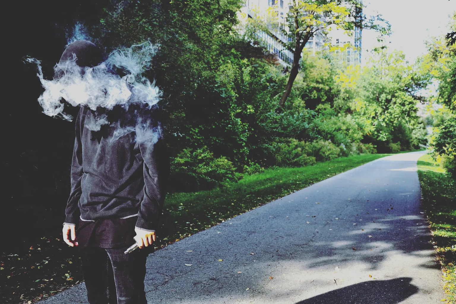E-cigarettes get FDA approval: 5 essential reads on the harms and benefits of vaping E-cigarettes get FDA approval: 5 essential reads on the harms and benefits of vaping