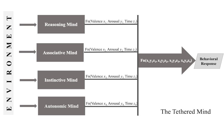 Diagram of different aspects of behaviour.