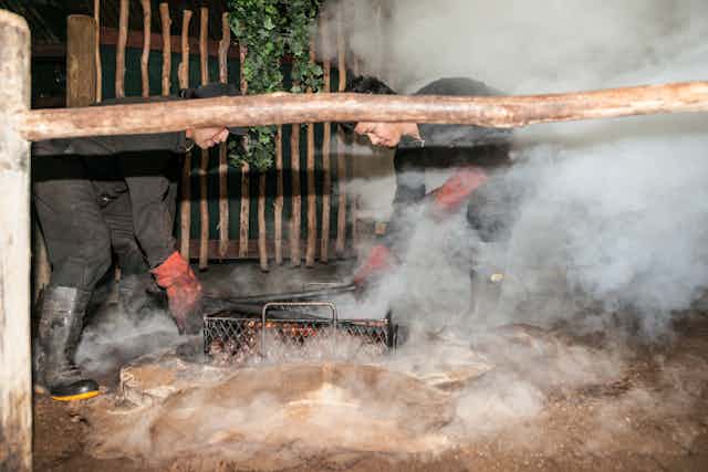 Smoke and dust as food is prepared for a traditional Māori feast or Hangi, Rotorua New Zealand.
