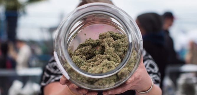 One-third of cannabis buyers still using illicit dealers, according to IPSOS poll - National - Globalnews.ca