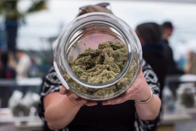 Close-up of an open jar of cannabis product