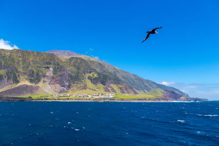 The coast of Tristan da Cunha
