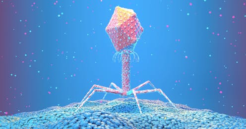 Viruses are both the villains and heroes of life as we know it