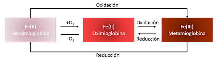 Fraude en el color del atún: ¿es peligroso para la salud?