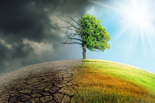 How the new human right to a healthy environment could accelerate New Zealand's action on climate change